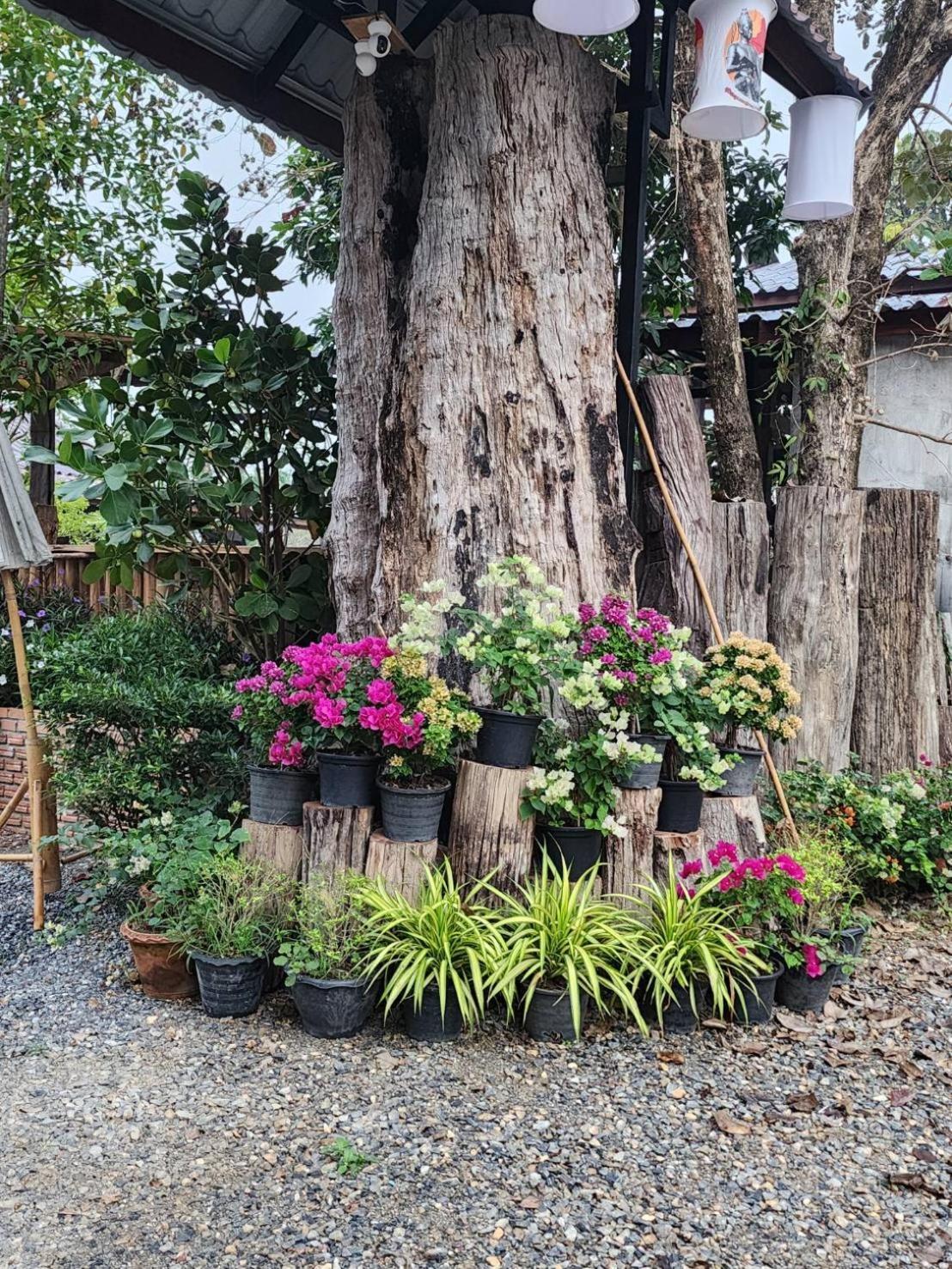 Suk Sabai Homestay Sukhothai Exterior foto